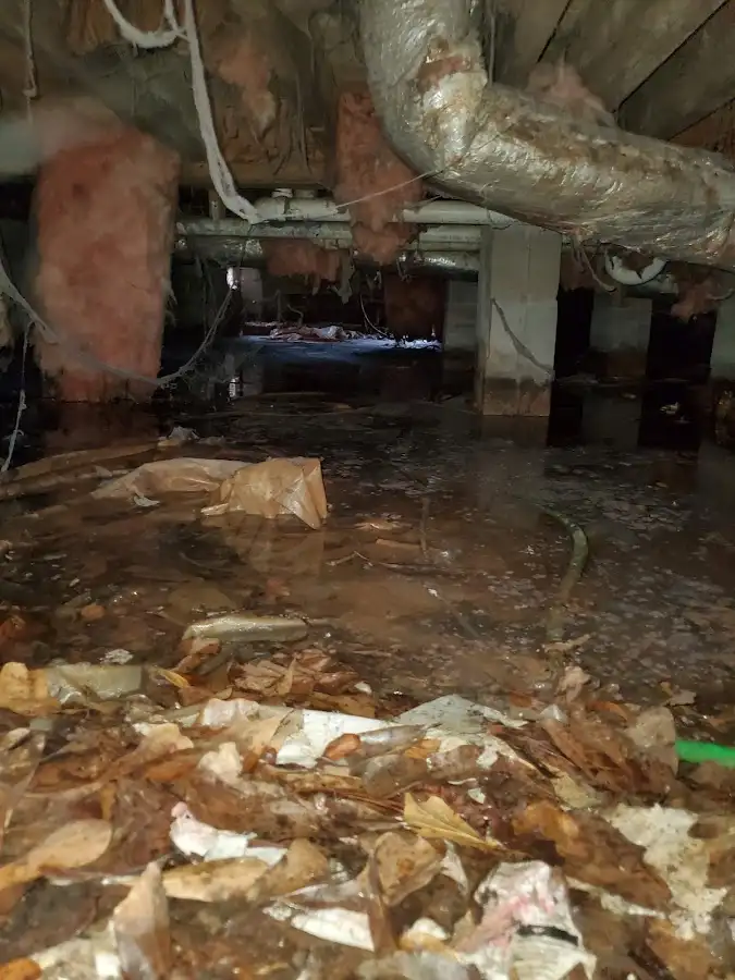 Crawl space flood assessment for Leak Detection & Repair in Hobbs