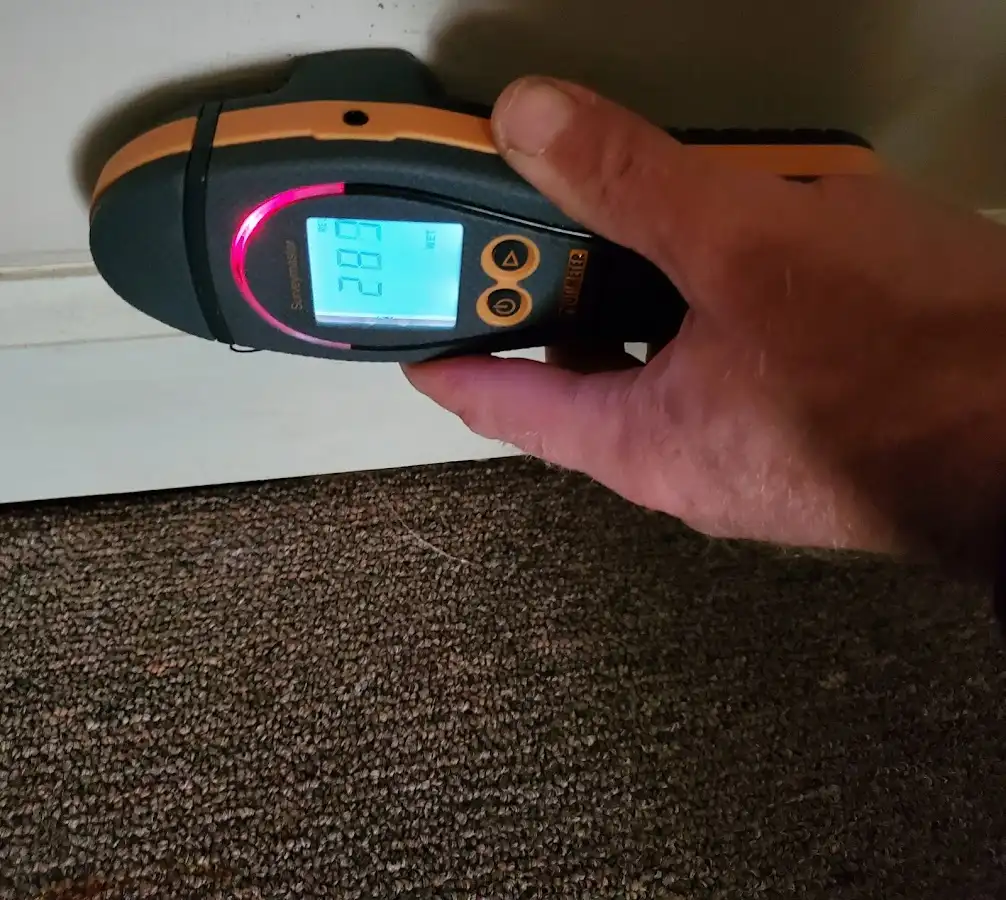 Moisture detection at baseboard during Sewage Cleanup & Sanitation in Hobbs